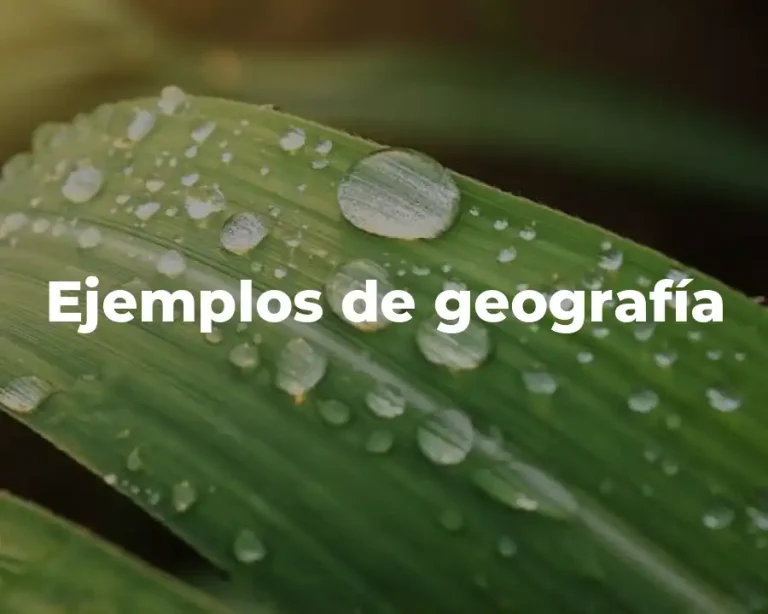 Ejemplos de geografía