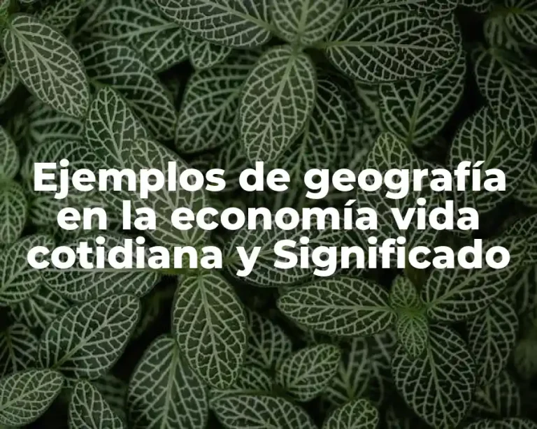 Ejemplos de geografía en la economía vida cotidiana y Significado