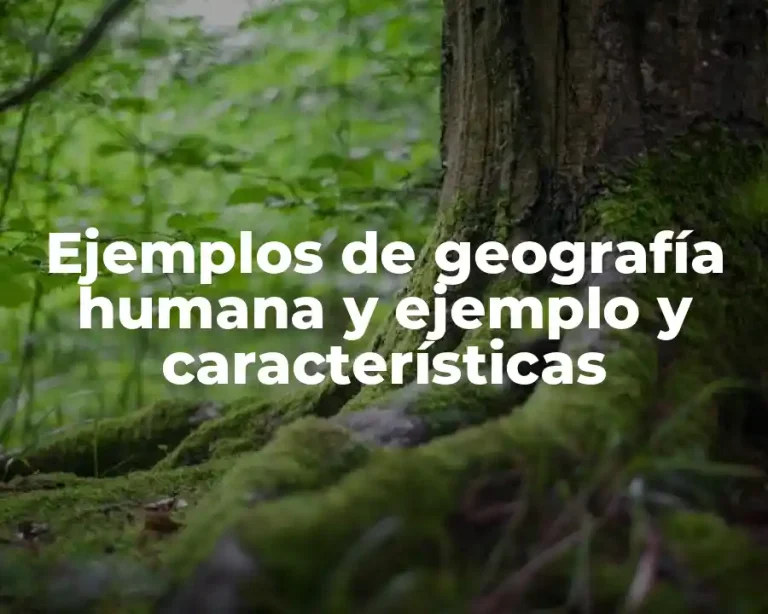 Ejemplos de geografía humana y ejemplo y características