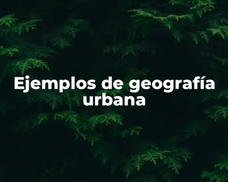 Ejemplos de geografía urbana