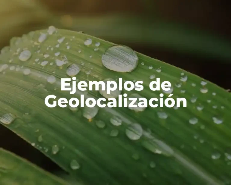 Ejemplos de Geolocalización
