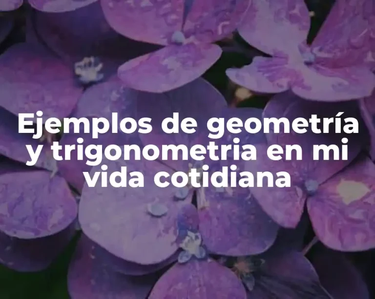 Ejemplos de geometría y trigonometria en mi vida cotidiana