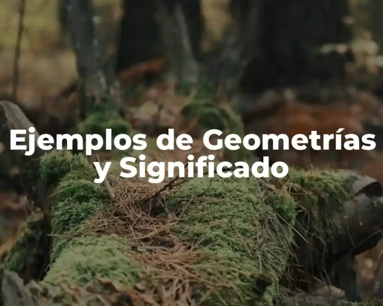 Ejemplos de Geometrías y Significado