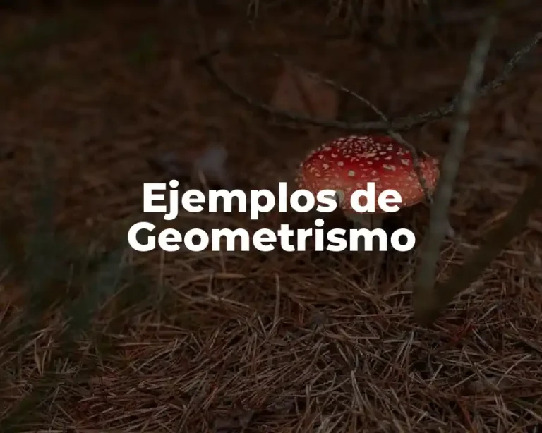 Ejemplos de Geometrismo