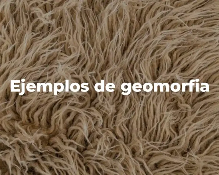 Ejemplos de geomorfia
