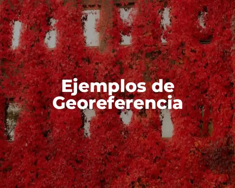 Ejemplos de Georeferencia