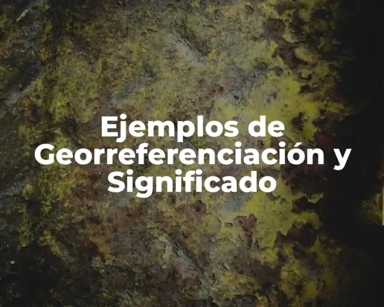 Ejemplos de Georreferenciación y Significado