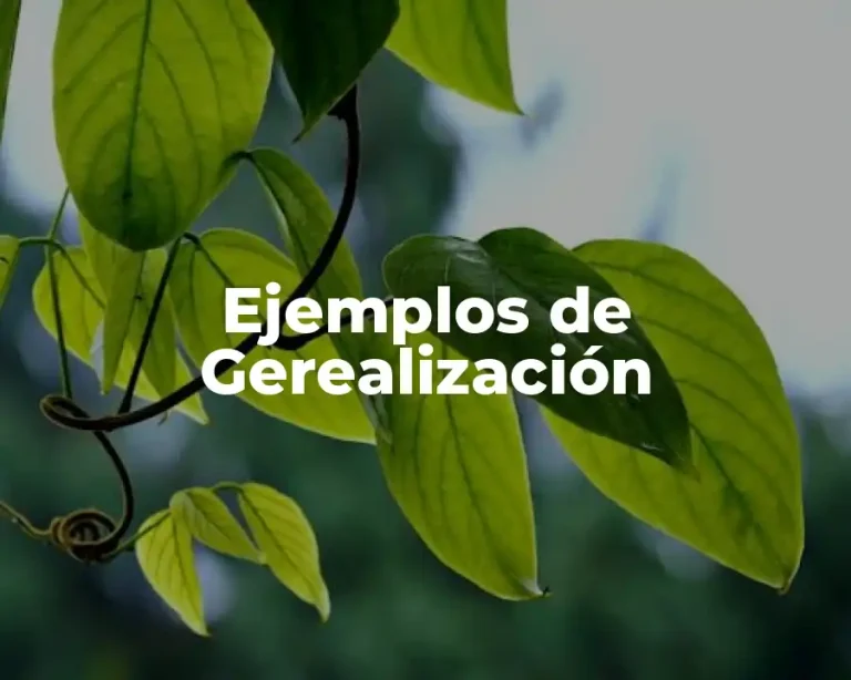 Ejemplos de Gerealización