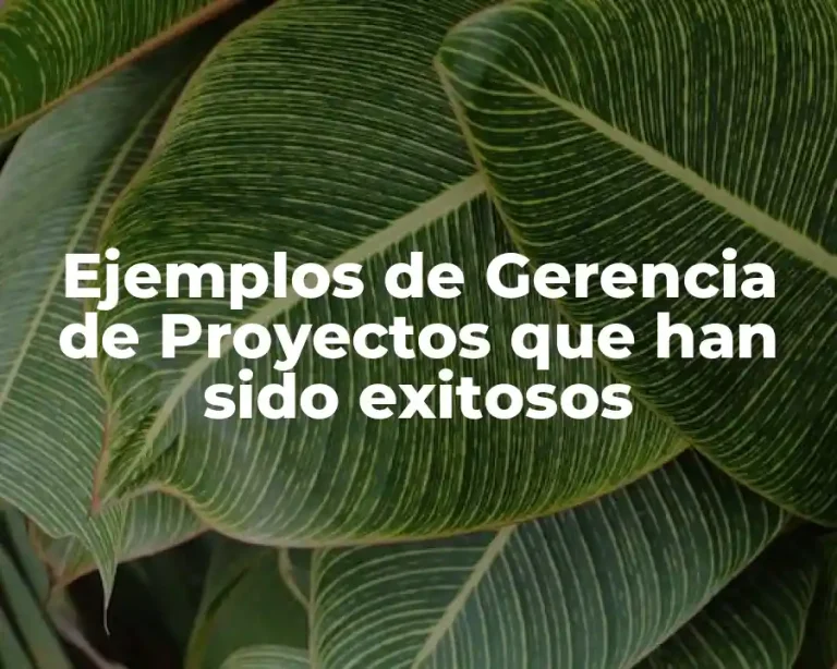 Ejemplos de Gerencia de Proyectos que han sido exitosos