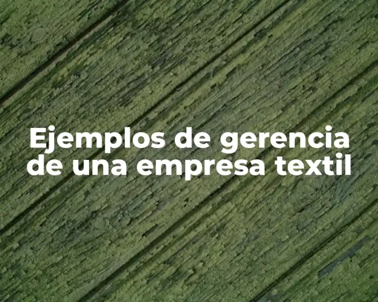 Ejemplos de gerencia de una empresa textil