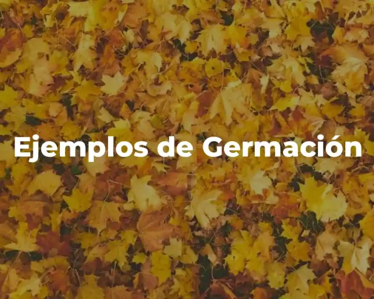 Ejemplos de Germación