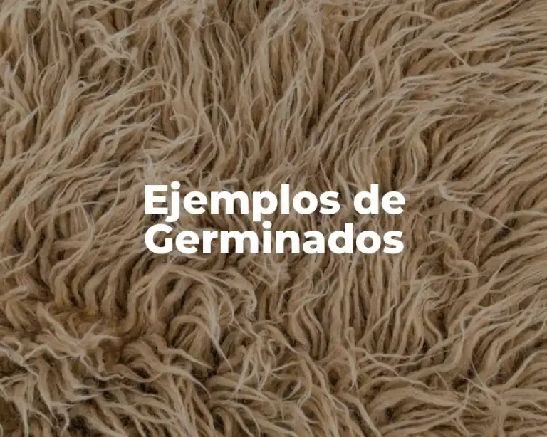Ejemplos de Germinados