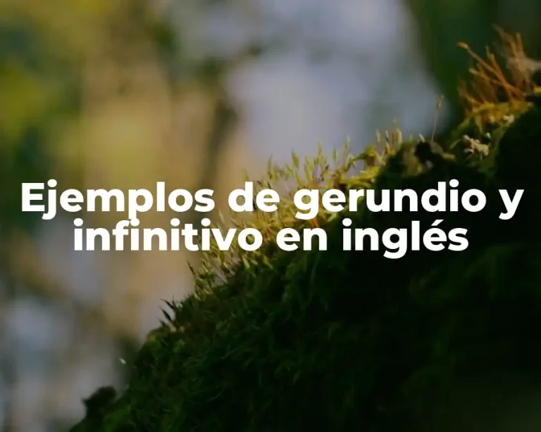 Ejemplos de gerundio y infinitivo en inglés