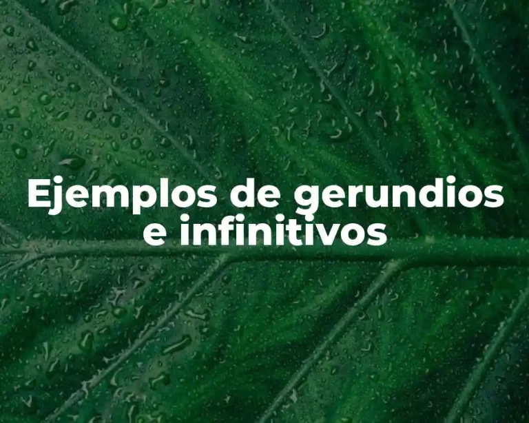 Ejemplos de gerundios e infinitivos
