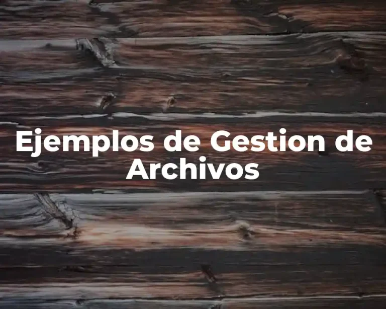 Ejemplos de Gestion de Archivos