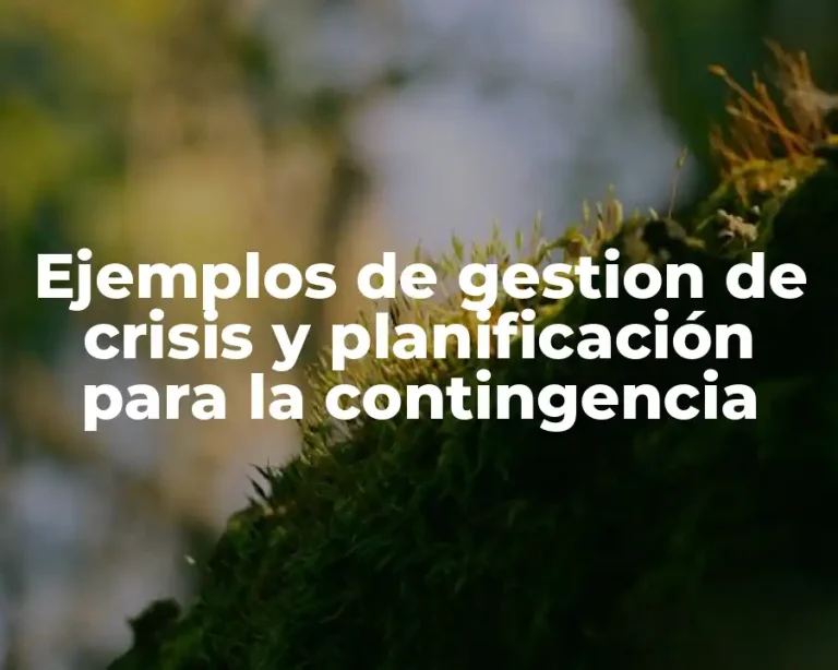 Ejemplos de gestion de crisis y planificación para la contingencia