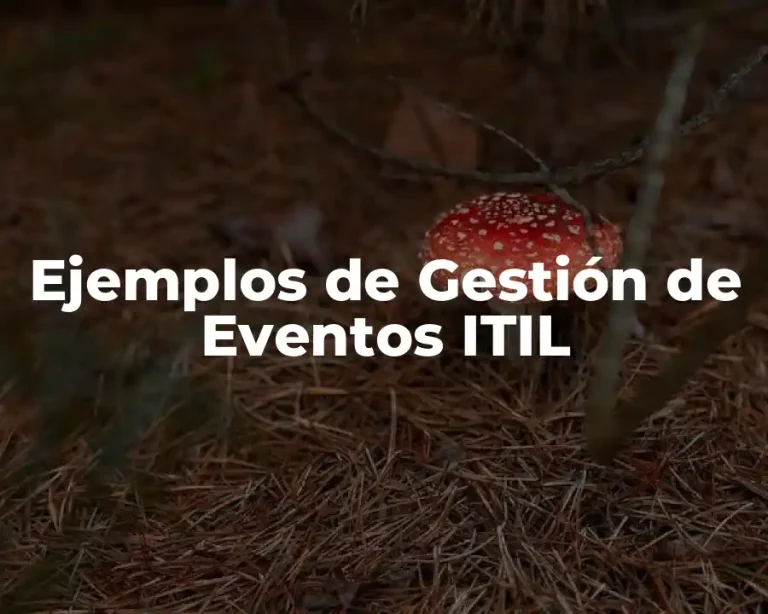 Ejemplos de Gestión de Eventos ITIL