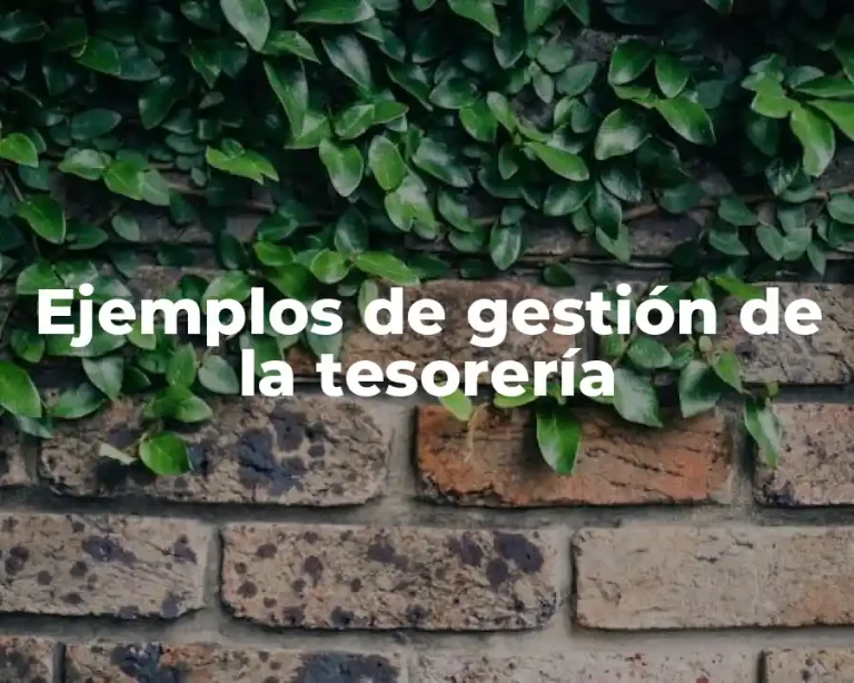 Ejemplos de gestión de la tesorería