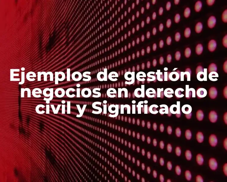 Ejemplos de gestión de negocios en derecho civil y Significado