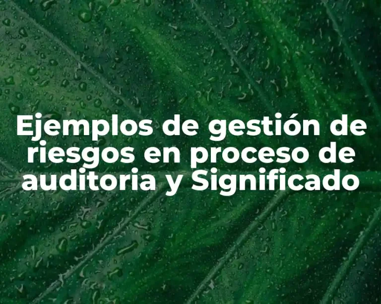 Ejemplos de gestión de riesgos en proceso de auditoria y Significado
