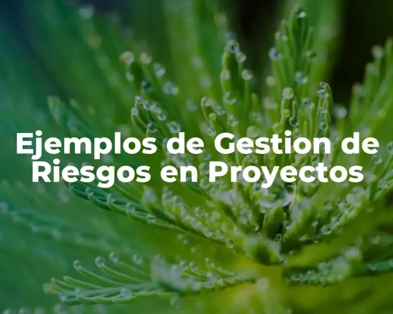 Ejemplos de Gestion de Riesgos en Proyectos
