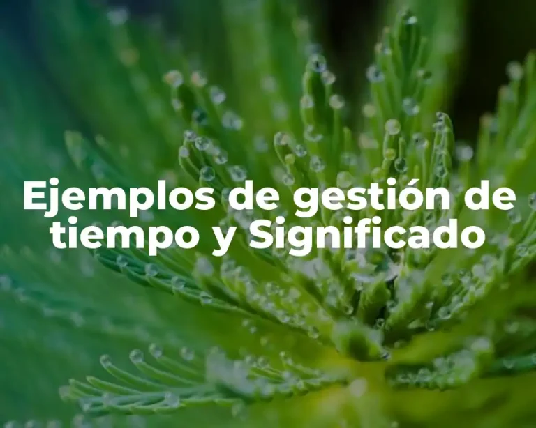 Ejemplos de gestión de tiempo y Significado