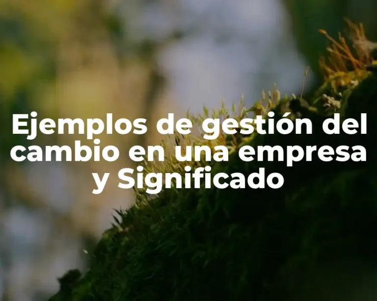 Ejemplos de gestión del cambio en una empresa y Significado