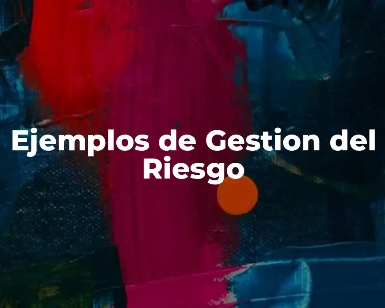 Ejemplos de Gestion del Riesgo