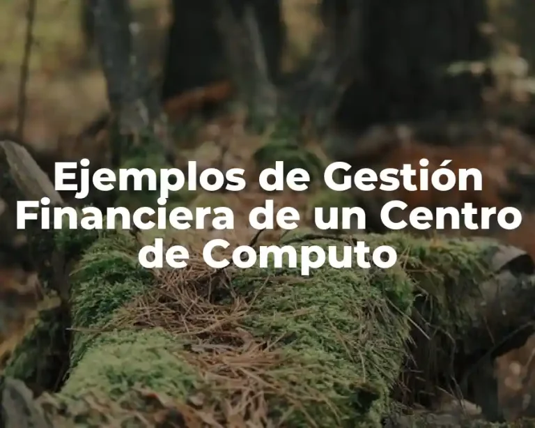 Ejemplos de Gestión Financiera de un Centro de Computo