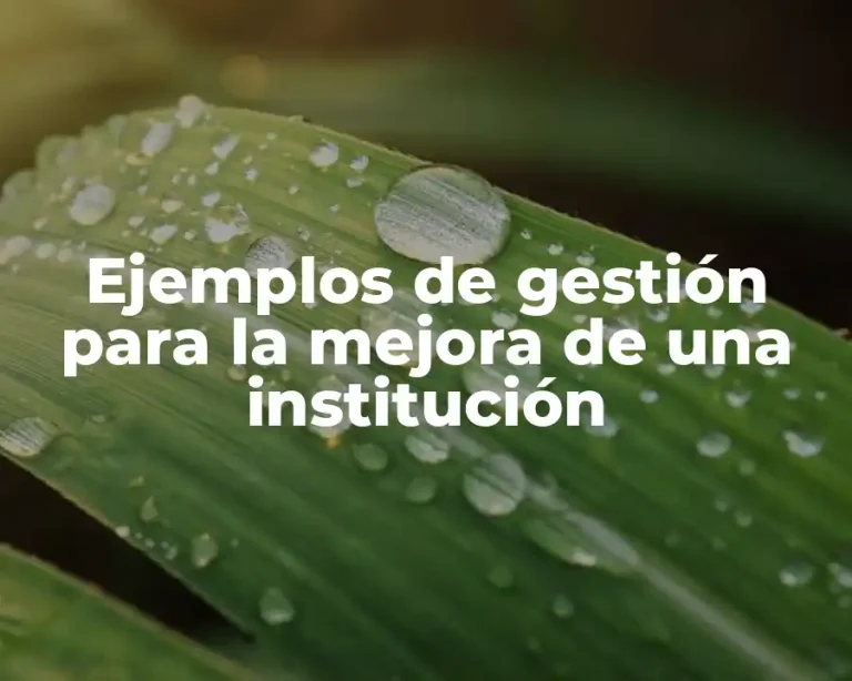 Ejemplos de gestión para la mejora de una institución