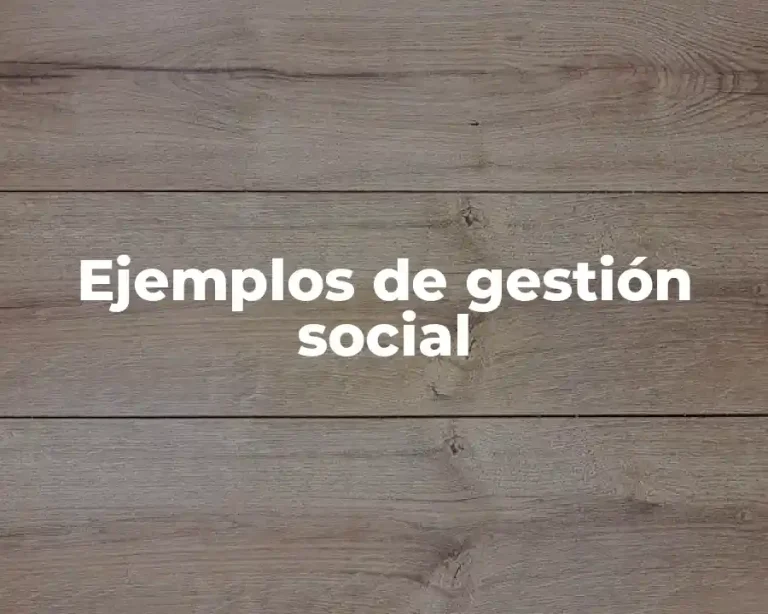 Ejemplos de gestión social