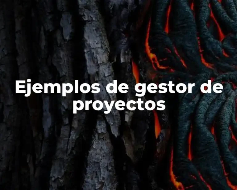 Ejemplos de gestor de proyectos