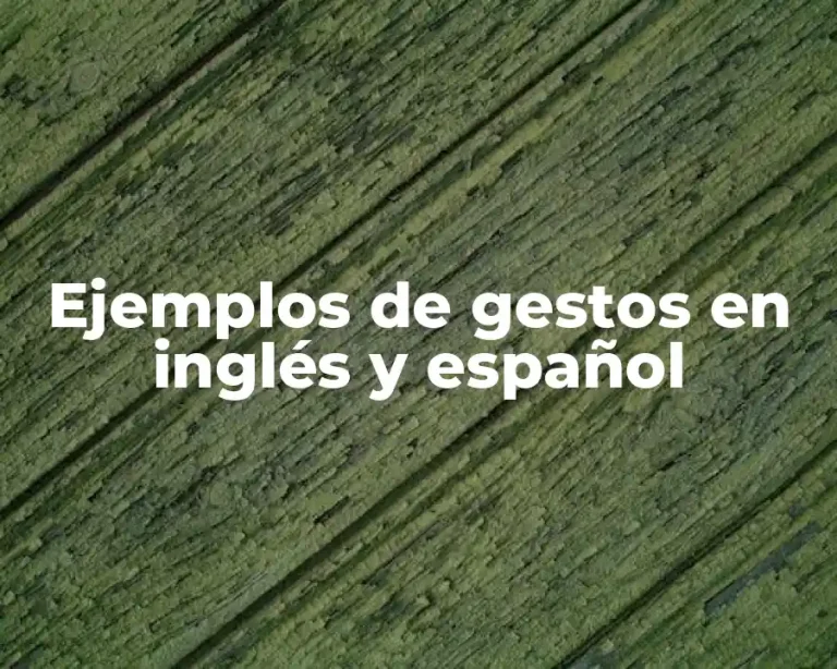 Ejemplos de gestos en inglés y español