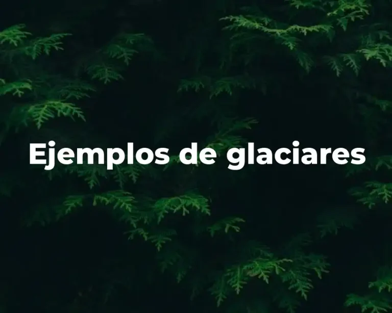 Ejemplos de glaciares