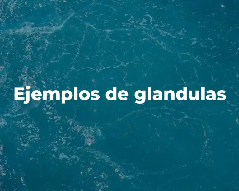 Ejemplos de glandulas