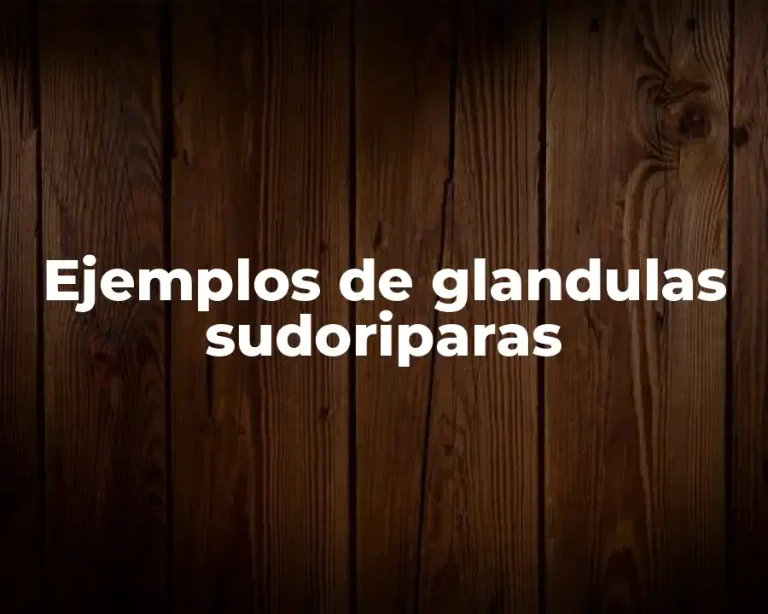 Ejemplos de glandulas sudoriparas