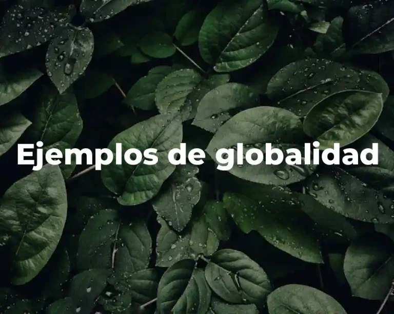 Ejemplos de globalidad