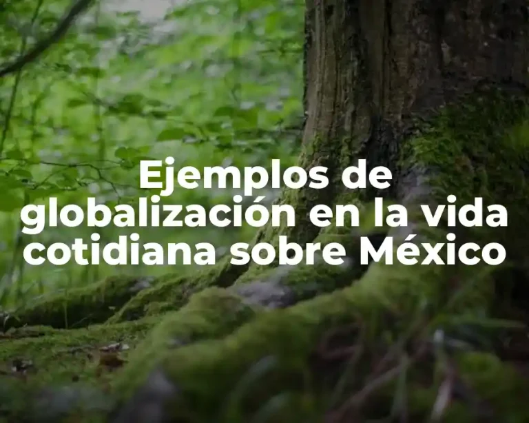 Ejemplos de globalización en la vida cotidiana sobre México