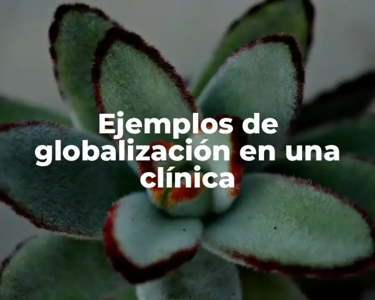 Ejemplos de globalización en una clínica