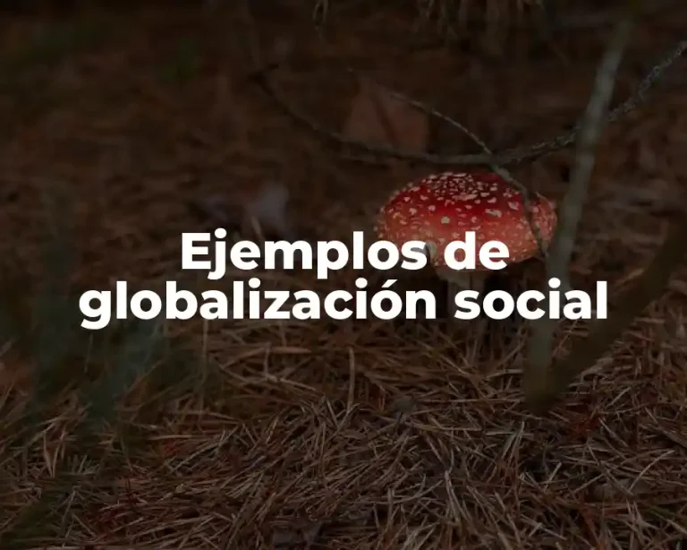 Ejemplos de globalización social
