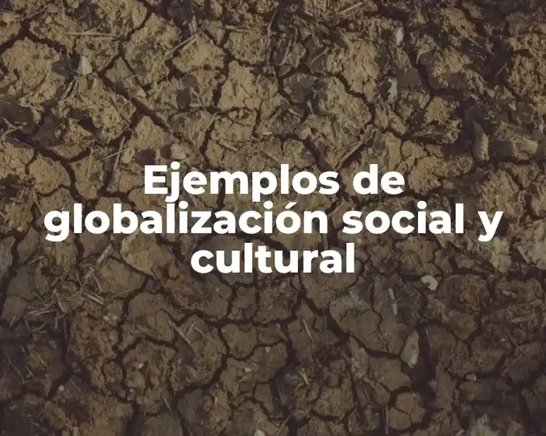 Ejemplos de globalización social y cultural