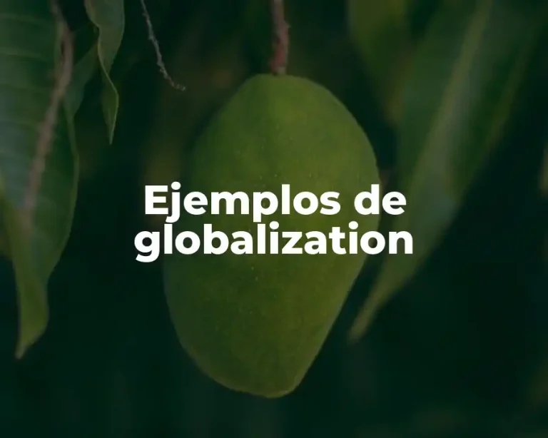 Ejemplos de globalization