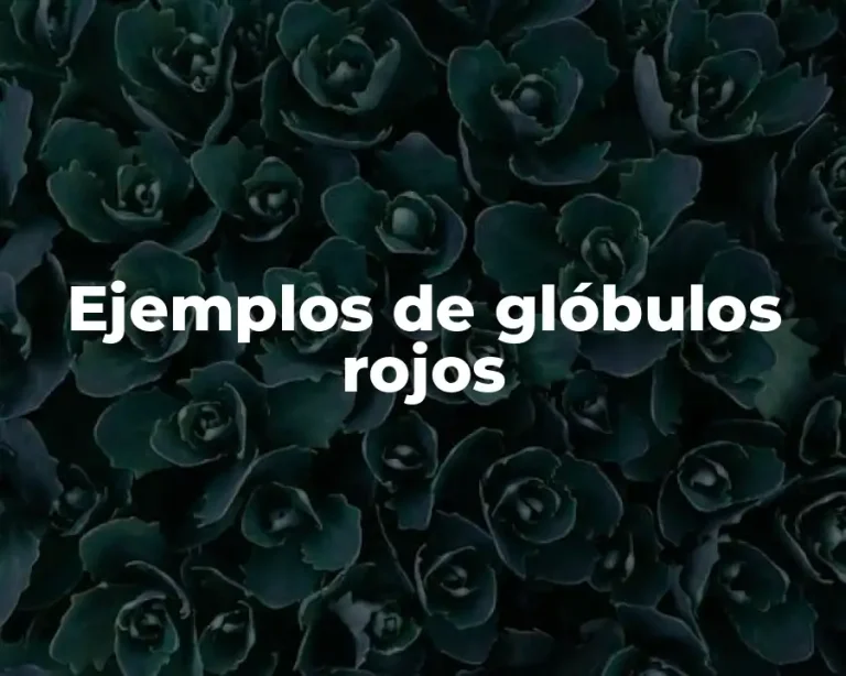 Ejemplos de glóbulos rojos