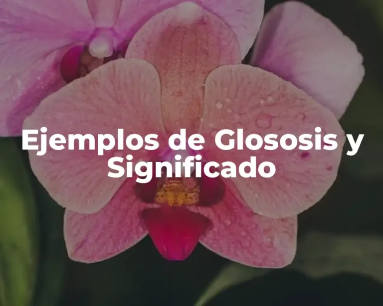 Ejemplos de Glososis y Significado
