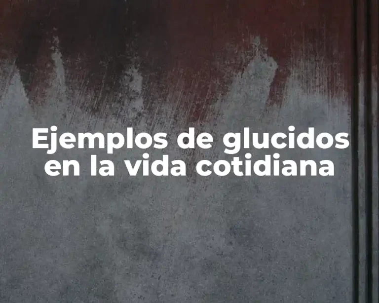 Ejemplos de glucidos en la vida cotidiana