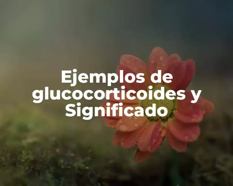 Ejemplos de glucocorticoides y Significado