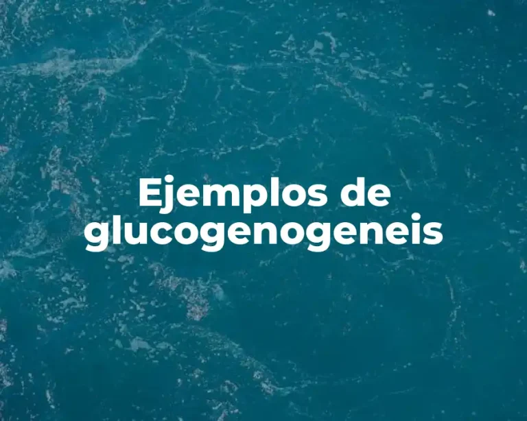 Ejemplos de glucogenogeneis