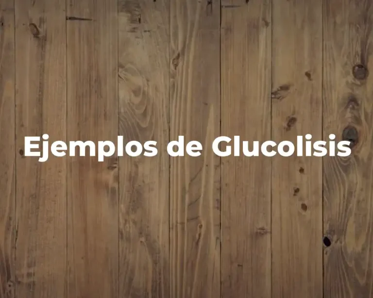 Ejemplos de Glucolisis