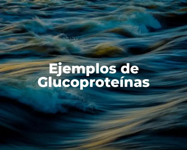 Ejemplos de Glucoproteínas