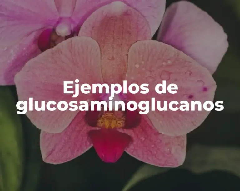 Ejemplos de glucosaminoglucanos